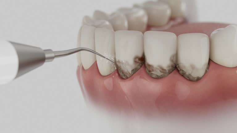 Reliable Dental contractor in St. James, MO by Dentist Open Now